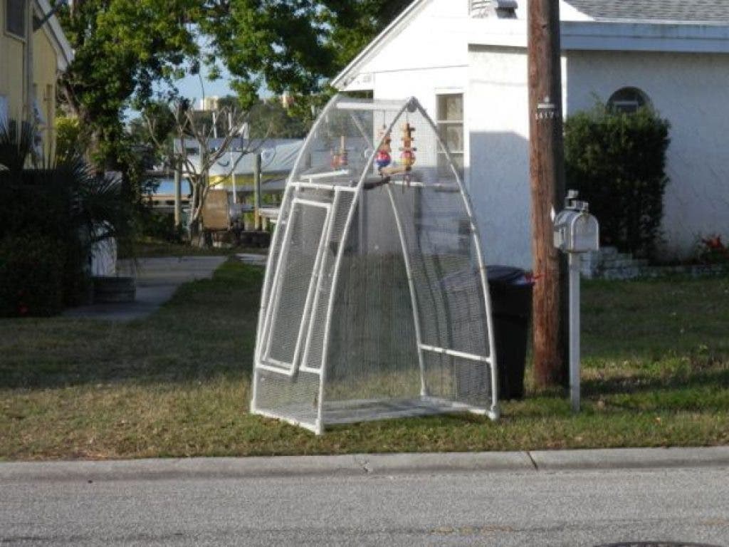 Picture of: Craigslist Freebies in Dunedin and Beyond!  Dunedin, FL Patch