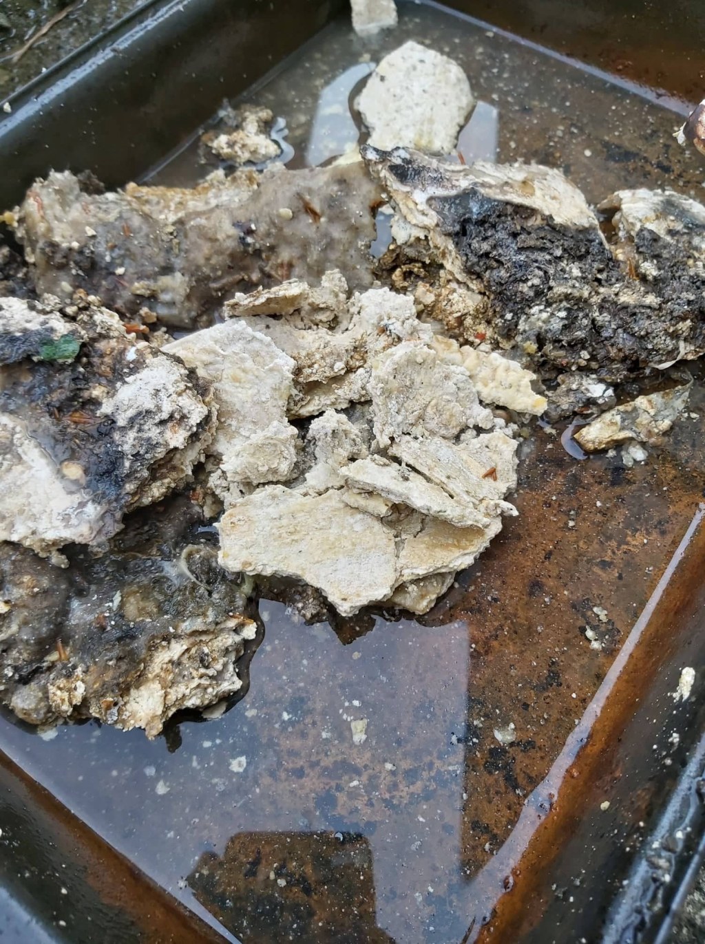 Picture of: Does anyone know what this material is in my septic system? – Home