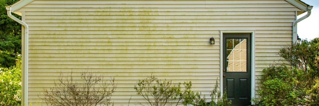 Picture of: What is the Green Stuff on Siding?  Perfect Power Wash