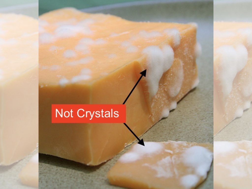 Picture of: White Stuff on Cheddar Cheese — Mold?