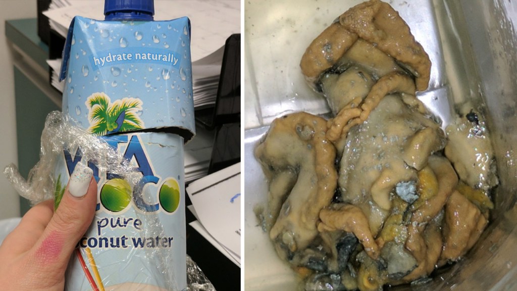 Picture of: Woman says squid-like substance was floating in bottle of coconut
